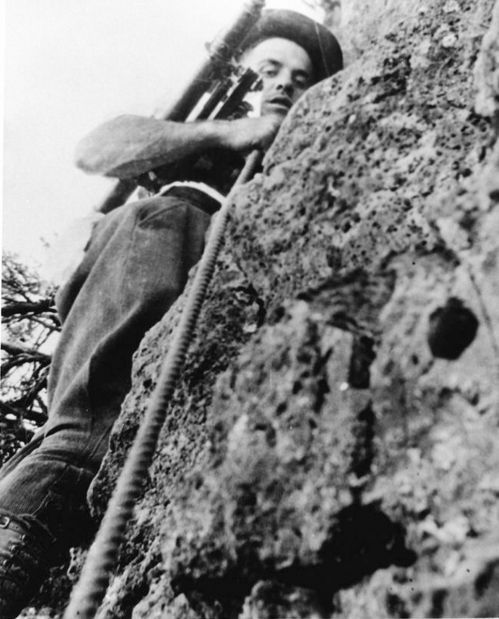 Bridge surveyor